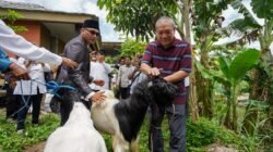 Bisa Jadi Provinsi Pemasok Daging Nasional, HBK Ingin NTB Mulai Kembangkan Food Estate Sektor Peternakan