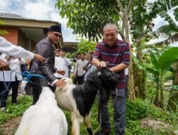 Bisa Jadi Provinsi Pemasok Daging Nasional, HBK Ingin NTB Mulai Kembangkan Food Estate Sektor Peternakan