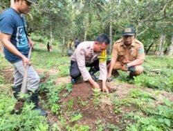 Bhabinkamtibmas Bersama Perangkat Desa Bentek Lakukan Giat Penanaman Pohon Sambut Hari Desa Asri Nusantara