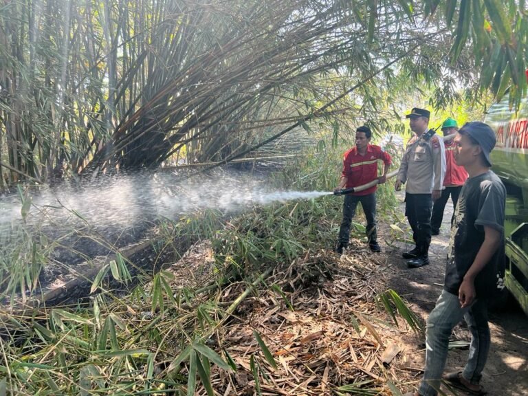 Kebakaran Lahan di Desa Lembar Lombok Barat, Petugas Berhasil Padamkan Api dalam Tiga Jam