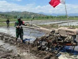 Petani Dusun Karang Bedil Terima Bantuan Babinsa untuk Pertanian Organik