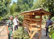Pemdes Selat Lombok Barat Tingkatkan Ketahanan Pangan dengan Program Ternak Lebah Madu Trigona