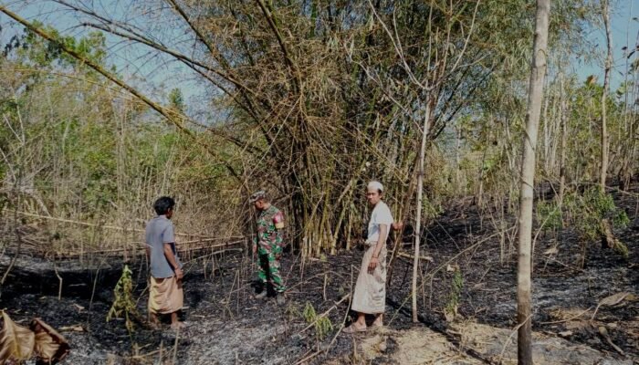 Babinsa Labuan Tereng dan Warga Bersatu Padamkan Kebakaran Hutan di Lombok Barat