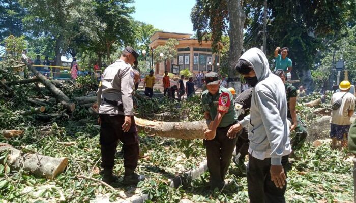 Babinsa Mataram Barat Berikan Penanganan Cepat Pohon Tumbang