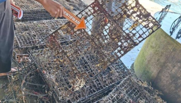 768 Kerang Siput Senilai Rp772 Juta Milik Tambak Udang di Lombok Timur Dicuri!