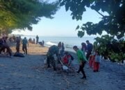 Pramuka dan TNI Bersatu Bersihkan Pantai: Masyarakat Tanjung Karang Kota Mataram Turut Serta