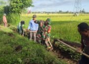 Gotong Royong Bersihkan Saluran Irigasi, Menyemai Benih Persatuan dan Tanggung Jawab Lingkungan