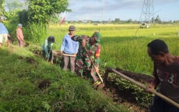 Gotong Royong Bersihkan Saluran Irigasi, Menyemai Benih Persatuan dan Tanggung Jawab Lingkungan