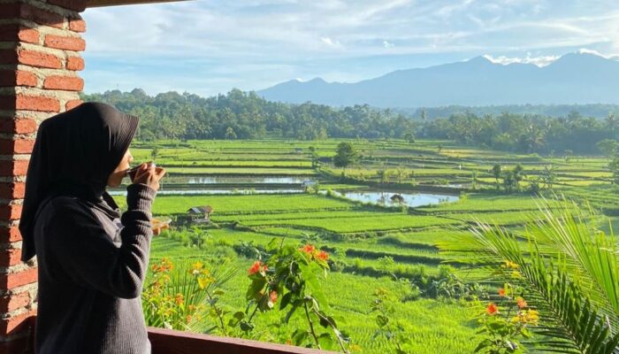 Wisata Alam Gujung Jae: Rekreasi Keluarga yang Eksotis di Tengah Persawahan Hijau