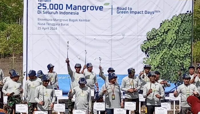 Green Impact Days 2024: Komitmen Tangguh Kasdim 1606/Mataram dalam Penanaman Mangrove Se-Indonesia