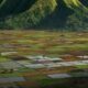 Menapak Keindahan Bukit Selong: Pesona Alam dan Warisan Budaya di Kaki Gunung Rinjani