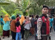 Nyongkolan Meriah di Sekotong, Lombok Barat: Aman di Bawah Pengawalan Ketat Polsek Sekotong