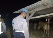 Polsek Sekotong Tingkatkan Patroli di Tengah Malam, Warga Merasa Lebih Aman