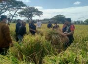 Kolaborasi Babinsa dan Petani: Upaya Peningkatan Produktivitas Pertanian di Kota Mataram