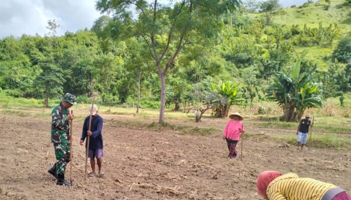 Sinergi Kekompakan Petani dan Babinsa dalam Menghadapi Perubahan Iklim