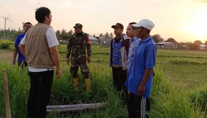 Solusi Irigasi di Musim Kemarau: Babinsa dan Dinas Pertanian KLU Rancang Pembangunan Pompa di Desa Sokong