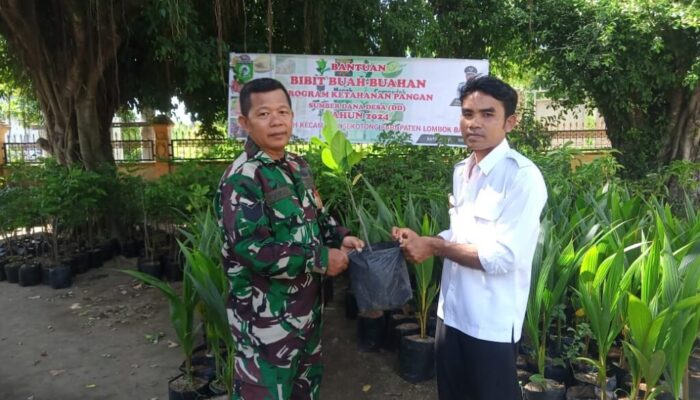 Pemerintah Desa dan Babinsa: Menanam Harapan dengan Bibit Buah di Sekotong