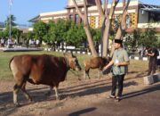 Kapolres Lombok Utara Lakukan Qurban Di Hari Raya Idul Adha