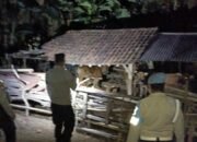 Polsek Sekotong Gelar Patroli Malam untuk Cegah Pencurian Ternak dan Gangguan Keamanan