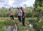 Babinsa, Bhabinkamtibmas dan Poktan Dukung Kesejahteraan Petani di Dusun Timur Raya