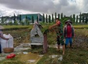 Gotong Royong Babinsa dan Petani: Cerita Panen Padi di Mataram