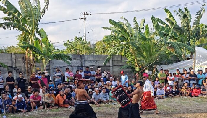 Final Peresean Belet Betatu Saling Kemos Jilid II Meriah di Lombok Barat