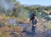 Kebakaran Lahan: Damkar Lobar dan Babinsa Imbau Warga Untuk Wasapada