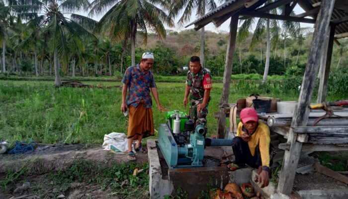 Kolaborasi Babinsa dan Petani: Efisiensi Irigasi untuk Masa Depan Pertanian Sekotong