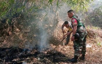 Laporan Kebakaran: Babinsa, Bhabinkamtibmas dan Damkar Lobar Padamkan Api di Bukit Menang