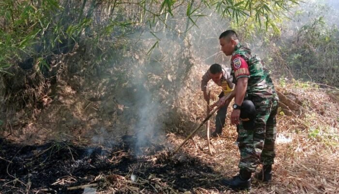 Laporan Kebakaran: Babinsa, Bhabinkamtibmas dan Damkar Lobar Padamkan Api di Bukit Menang