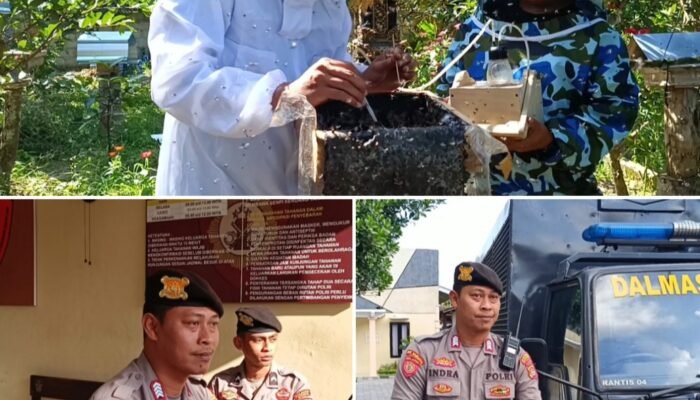 Polisi Mataram Budidayakan Lebah Trigona, Raup Jutaan Rupiah Sebulan!