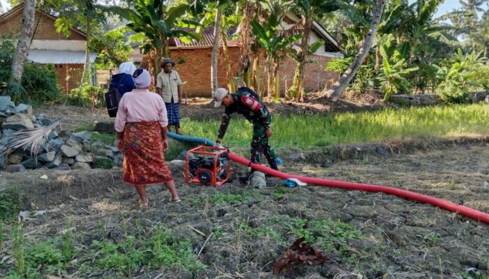 Sinergi Babinsa dan Dinas Pertanian: Solusi Pengairan Sawah di Tengah Kekeringan