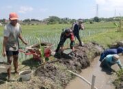 Kolaborasi TNI dan Petani: Talud Irigasi Baru Siap Tingkatkan Ketahanan Pangan di Mataram