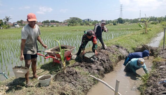 Kolaborasi TNI dan Petani: Talud Irigasi Baru Siap Tingkatkan Ketahanan Pangan di Mataram