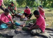 Kolaborasi Babinsa dan Penyuluh Pertanian: Tingkatkan Pengetahuan Petani di Desa Genggelang