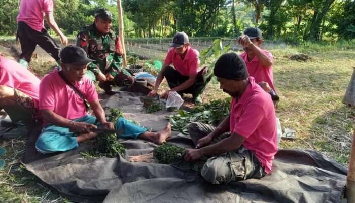 Kolaborasi Babinsa dan Penyuluh Pertanian: Tingkatkan Pengetahuan Petani di Desa Genggelang