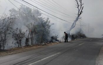 Kebakaran Hebat di Lembar Berhasil Ditangani: Sinergi TNI, Polri, dan Damkar Selamatkan 30 Are Lahan