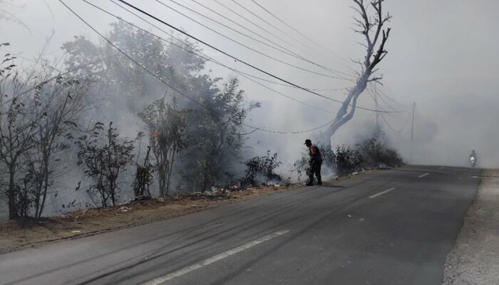 Kebakaran Hebat di Lembar Berhasil Ditangani: Sinergi TNI, Polri, dan Damkar Selamatkan 30 Are Lahan