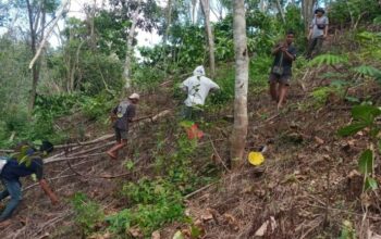 Warga Desa Rempek Darussalam dan Koramil 1606-10/Gangga Gelar Aksi Penanaman Ribuan Pohon di Hutan Seloka