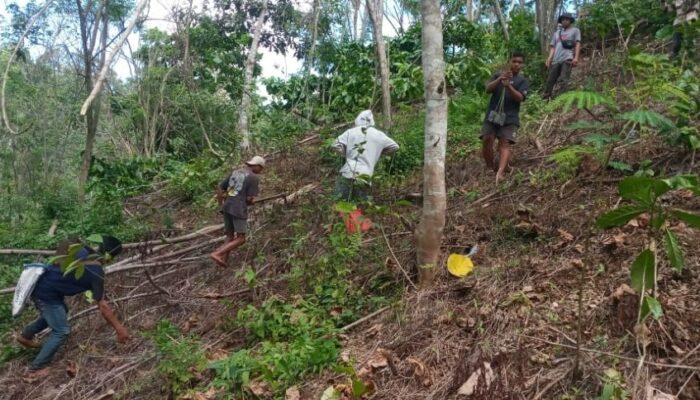 Warga Desa Rempek Darussalam dan Koramil 1606-10/Gangga Gelar Aksi Penanaman Ribuan Pohon di Hutan Seloka