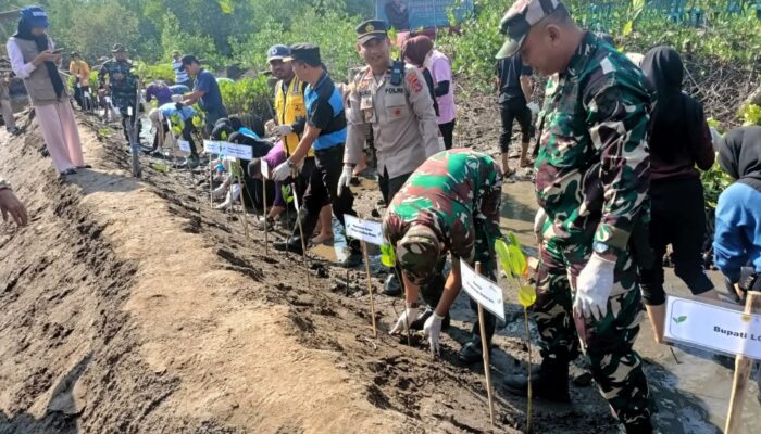 Peduli Pesisir: Mahasiswa UNRAM Rayakan Dies Natalis ke-62 dengan Penanaman Mangrove di Pantai Cemare