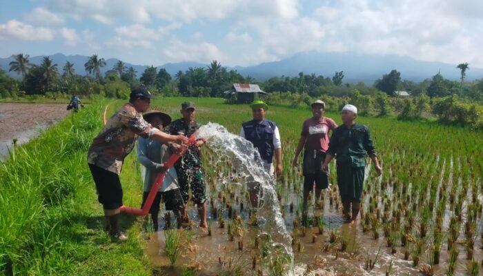 Petani Desa Sigerongan Apresiasi Bantuan Pompa Air, Produktivitas Sawah Meningkat