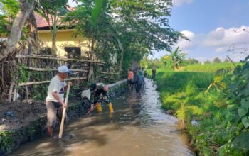 Sinergi Babinsa dan Petani, Irigasi Sigerongan Kembali Optimal