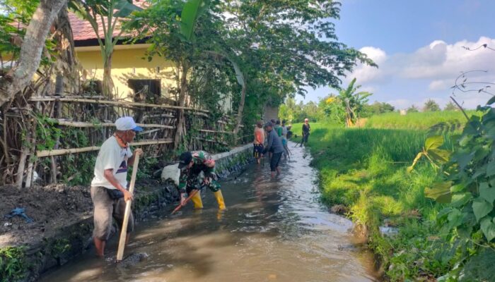 Sinergi Babinsa dan Petani, Irigasi Sigerongan Kembali Optimal