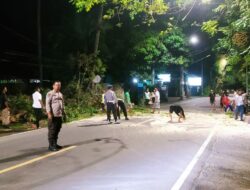 Senggigi Tersumbat Pohon Tumbang, Polisi dan Warga Bergerak Cepat