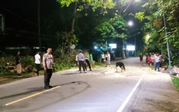 Evakuasi Pohon Tumbang, Polsek Batulayar Respons Cepat Pastikan Kelancaran Arus Lalu Lintas