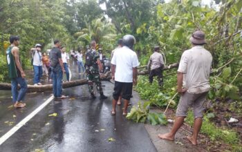 Tanggap Darurat Cuaca Ekstrem, Polsek Gerung Atasi Pohon Tumbang