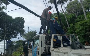 Pohon tumbang timpa kabel listrik, sejumlah tiang listrik tumbang tak kuasa menahan beban