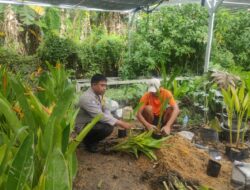 Ketahanan Pangan, Polsek Kediri Edukasi Warga Tanam Sayuran di Rumah