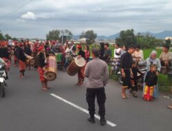 Tradisi Nyongkolan, Harmoni Budaya dan Keamanan di Labuapi